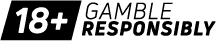 18+ Gamble Responsibly logo